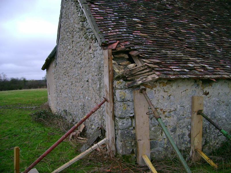 DSC01113.JPG