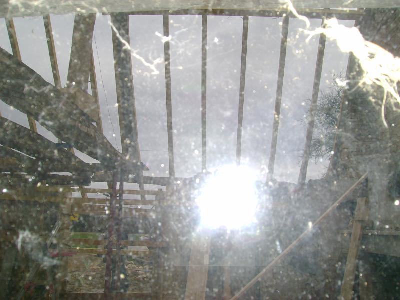DSC01178.JPG